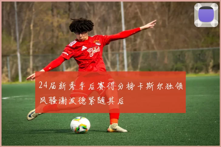 24届新秀季后赛得分榜卡斯尔独领风骚谢泼德紧随其后
