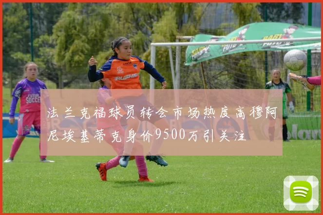 法兰克福球员转会市场热度高穆阿尼埃基蒂克身价9500万引关注